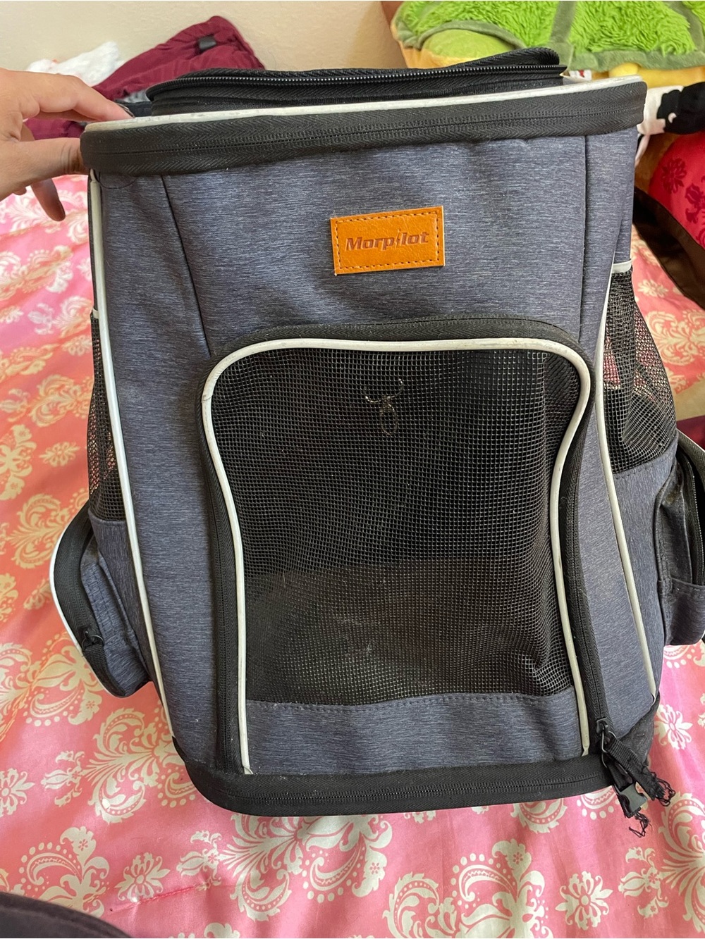 Cat backpack carrier